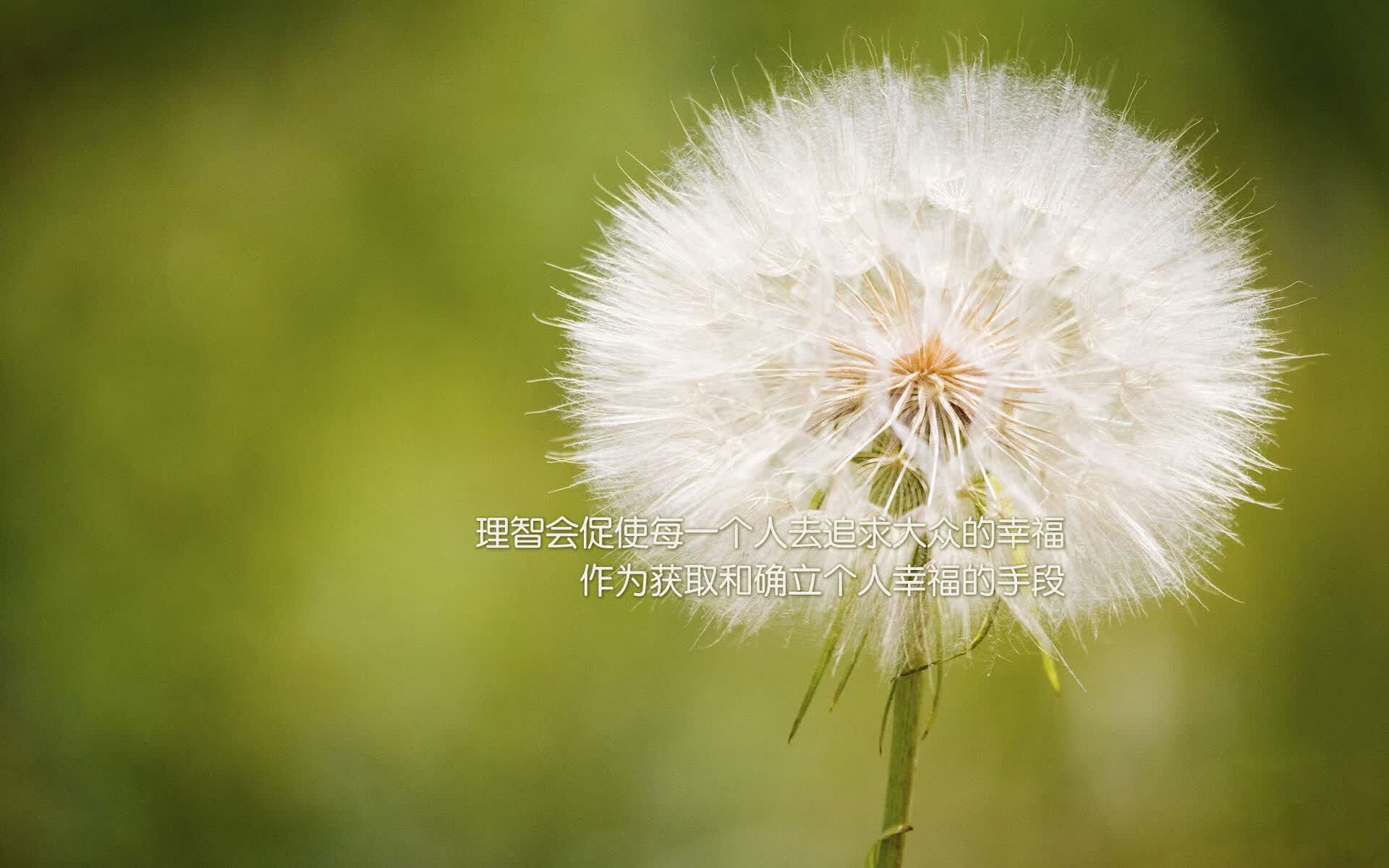 poy化纤行情（poy化纤价格实时行情）