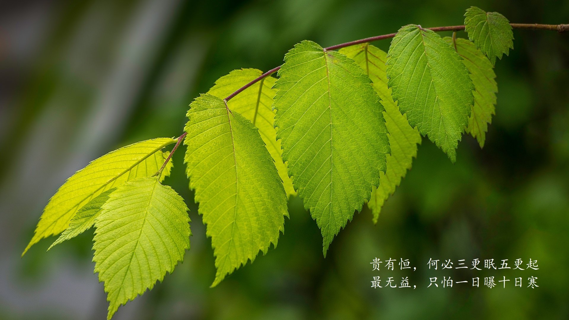 化纤衣服可以漂白吗怎么洗（化纤洗适合洗什么衣服）